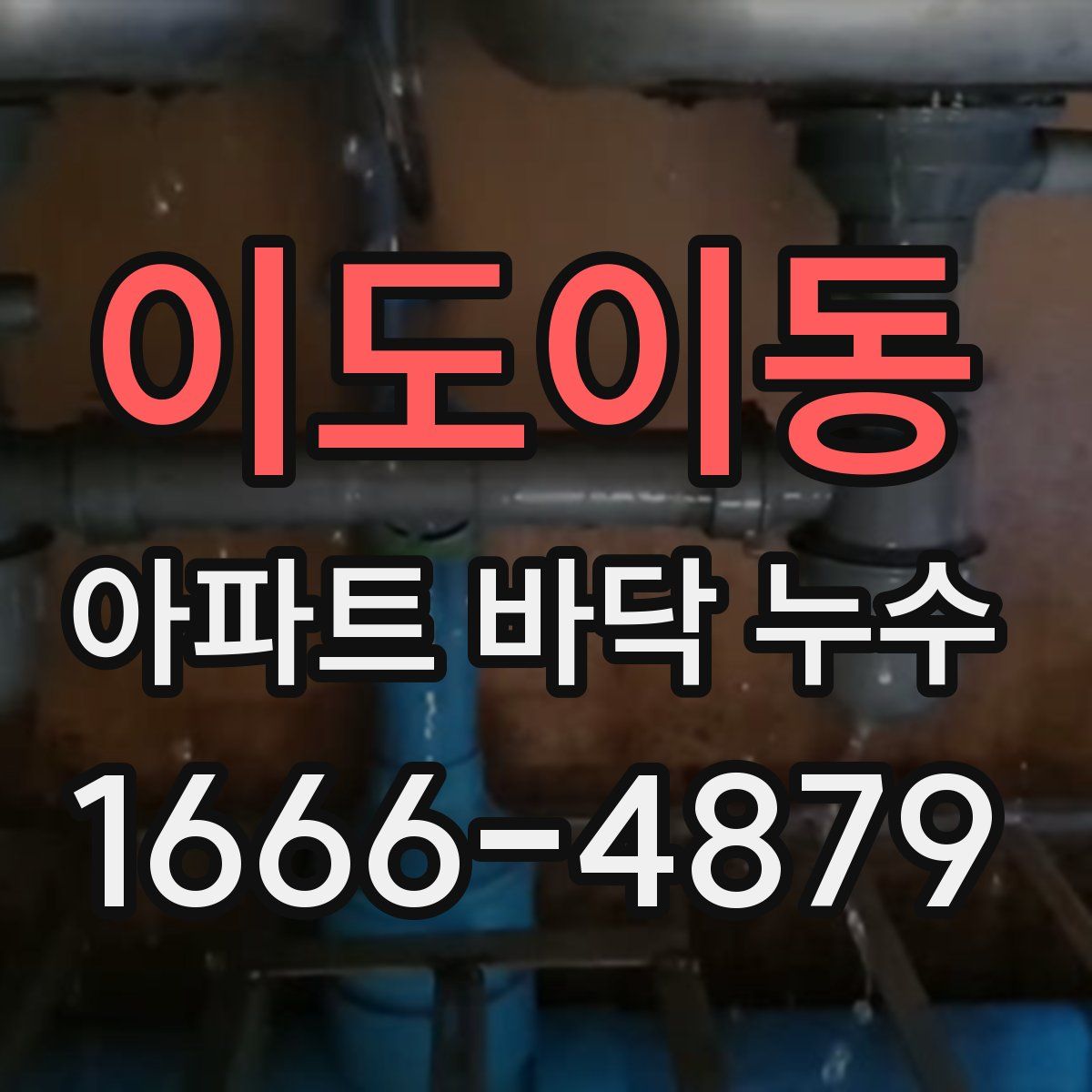이도이동 아파트 바닥 누수
