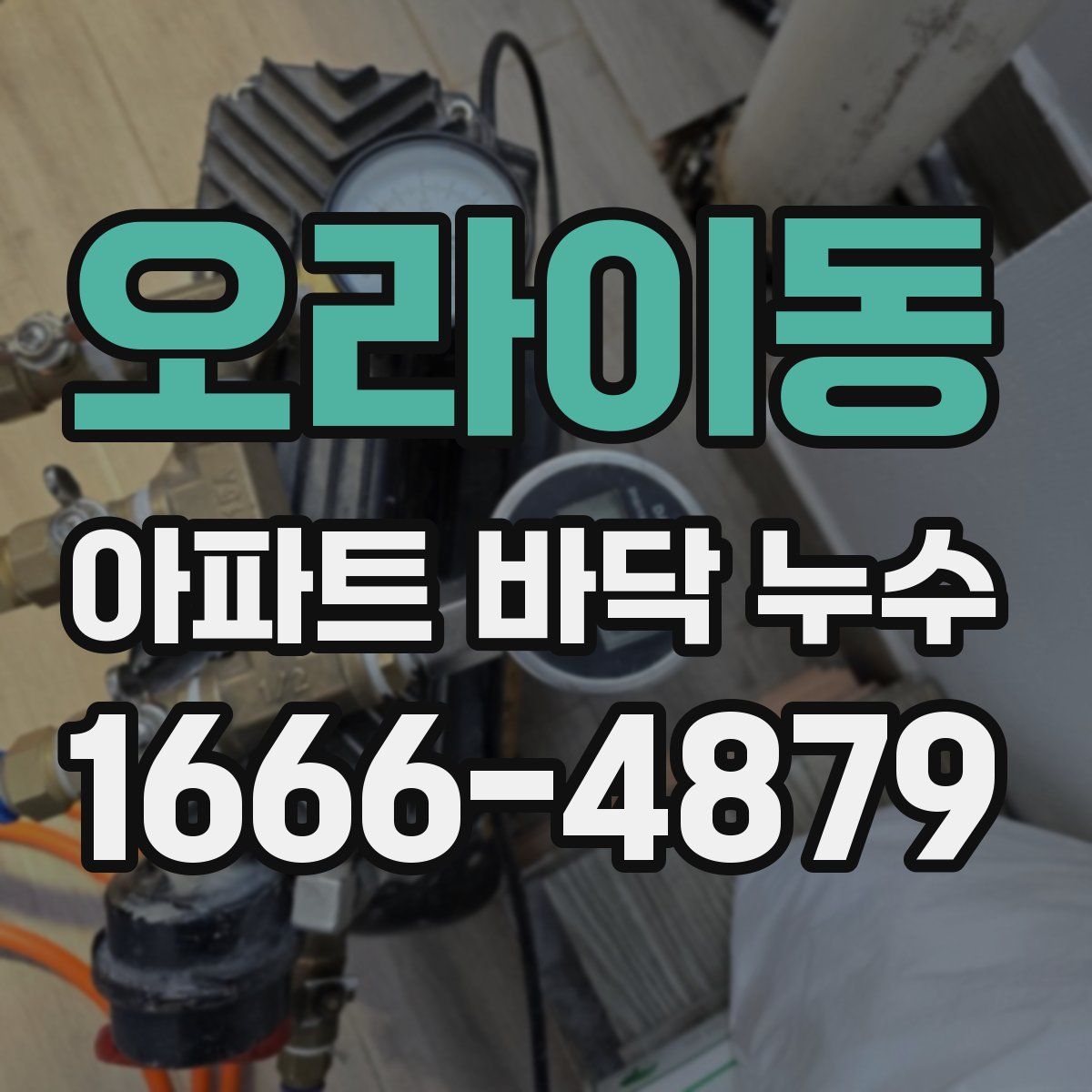 오라이동 아파트 바닥 누수