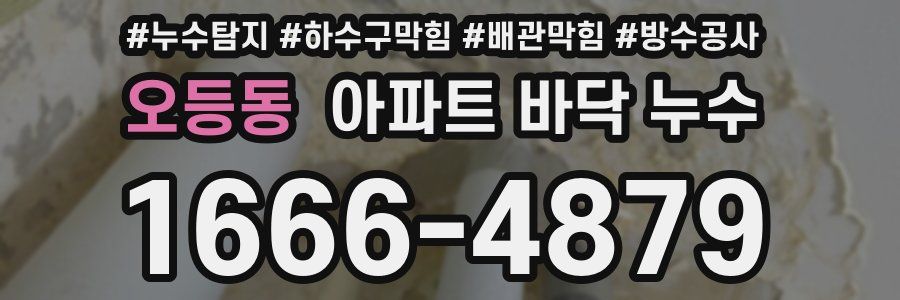 오등동 아파트 바닥 누수