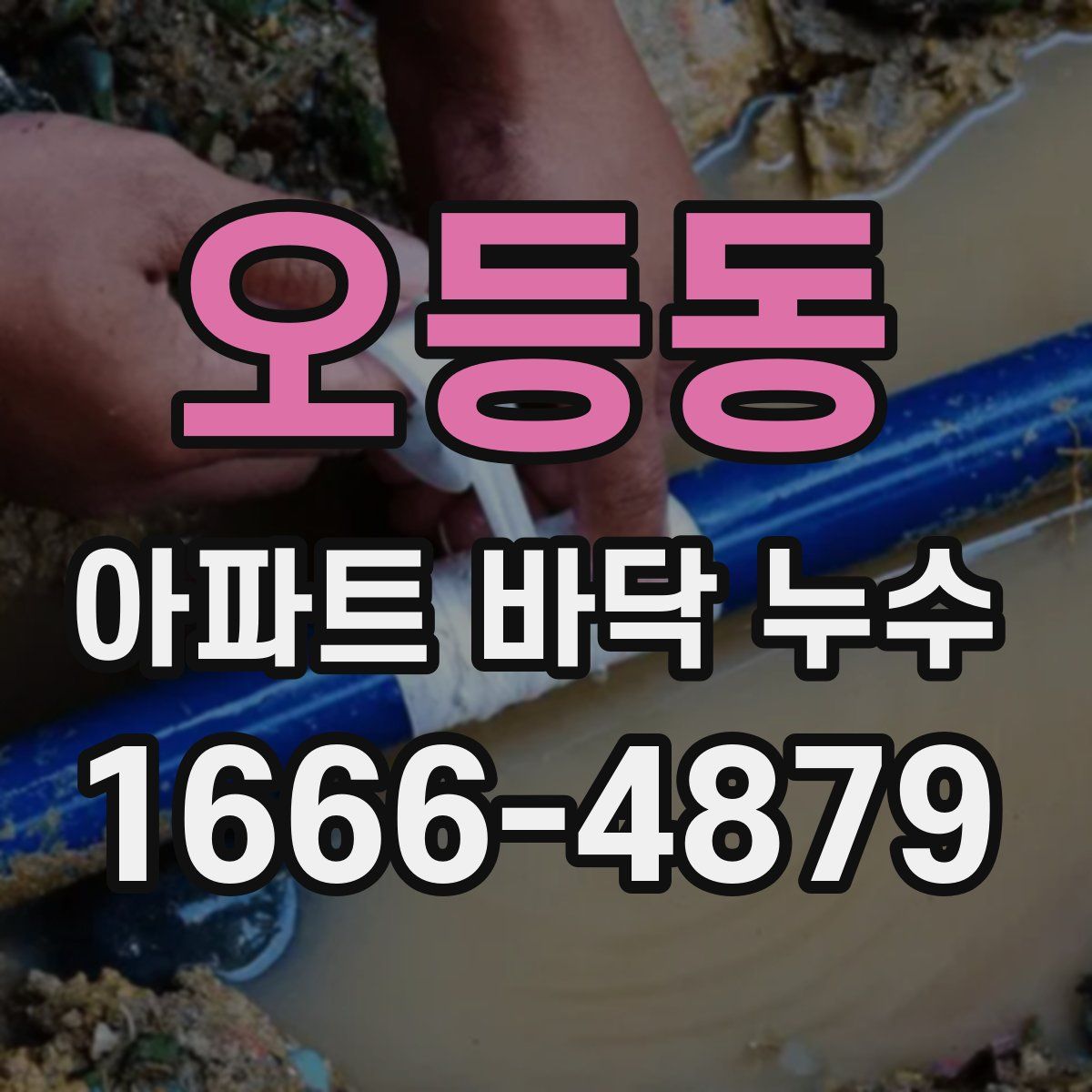 오등동 아파트 바닥 누수