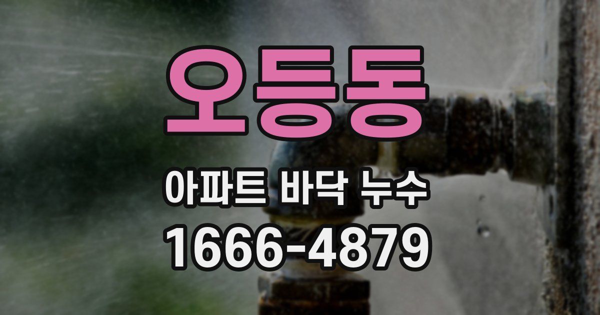 오등동 아파트 바닥 누수