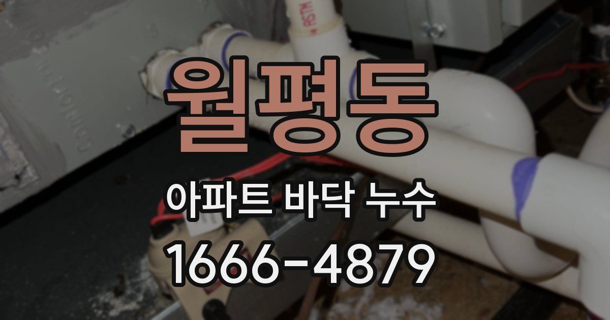 월평동 아파트 바닥 누수