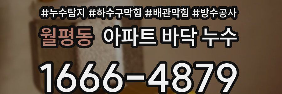 월평동 아파트 바닥 누수