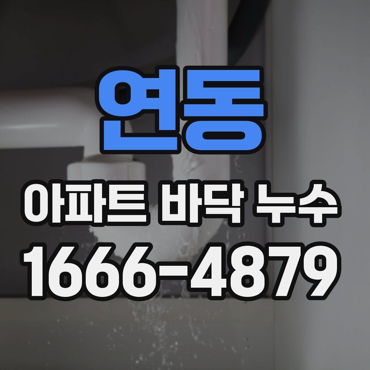 연동 아파트 바닥 누수