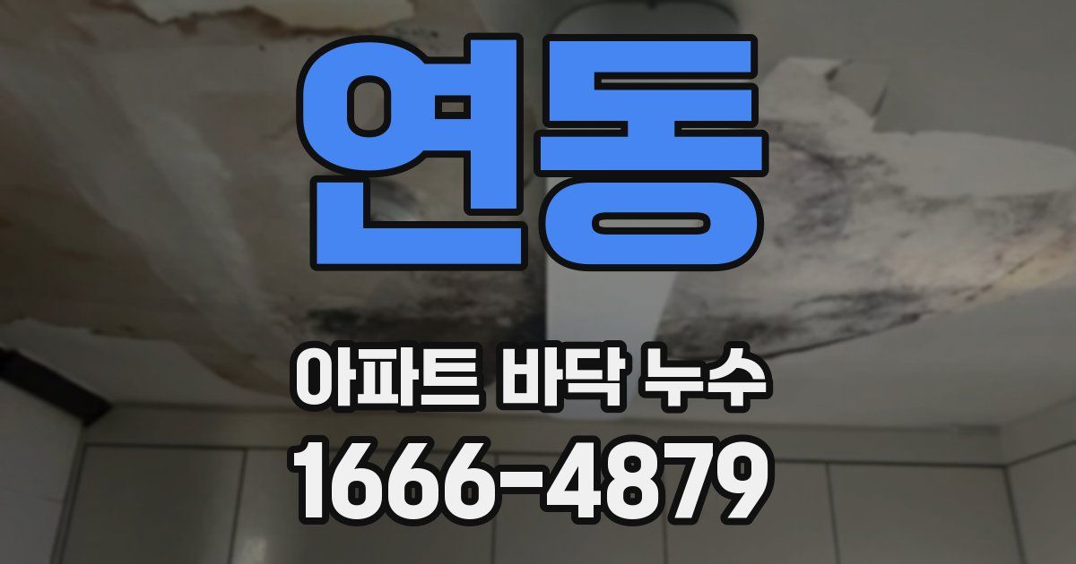 연동 아파트 바닥 누수