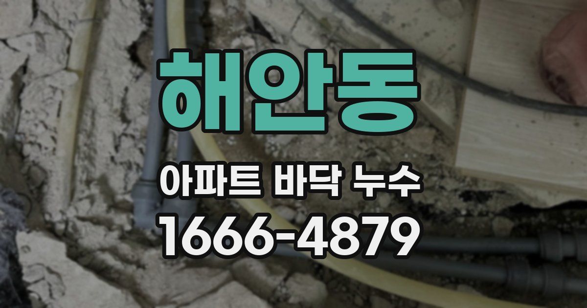 해안동 아파트 바닥 누수