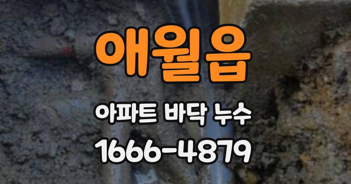 애월읍 아파트 바닥 누수