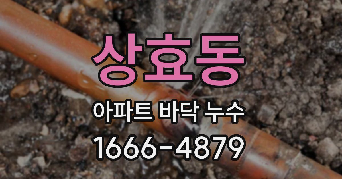상효동 아파트 바닥 누수