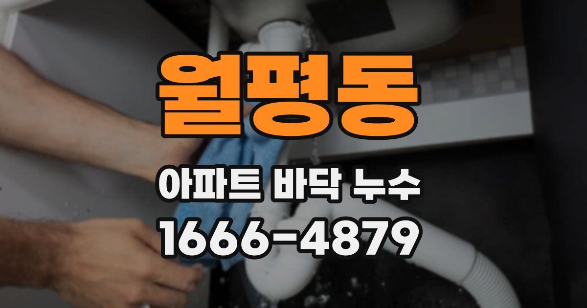 월평동 아파트 바닥 누수