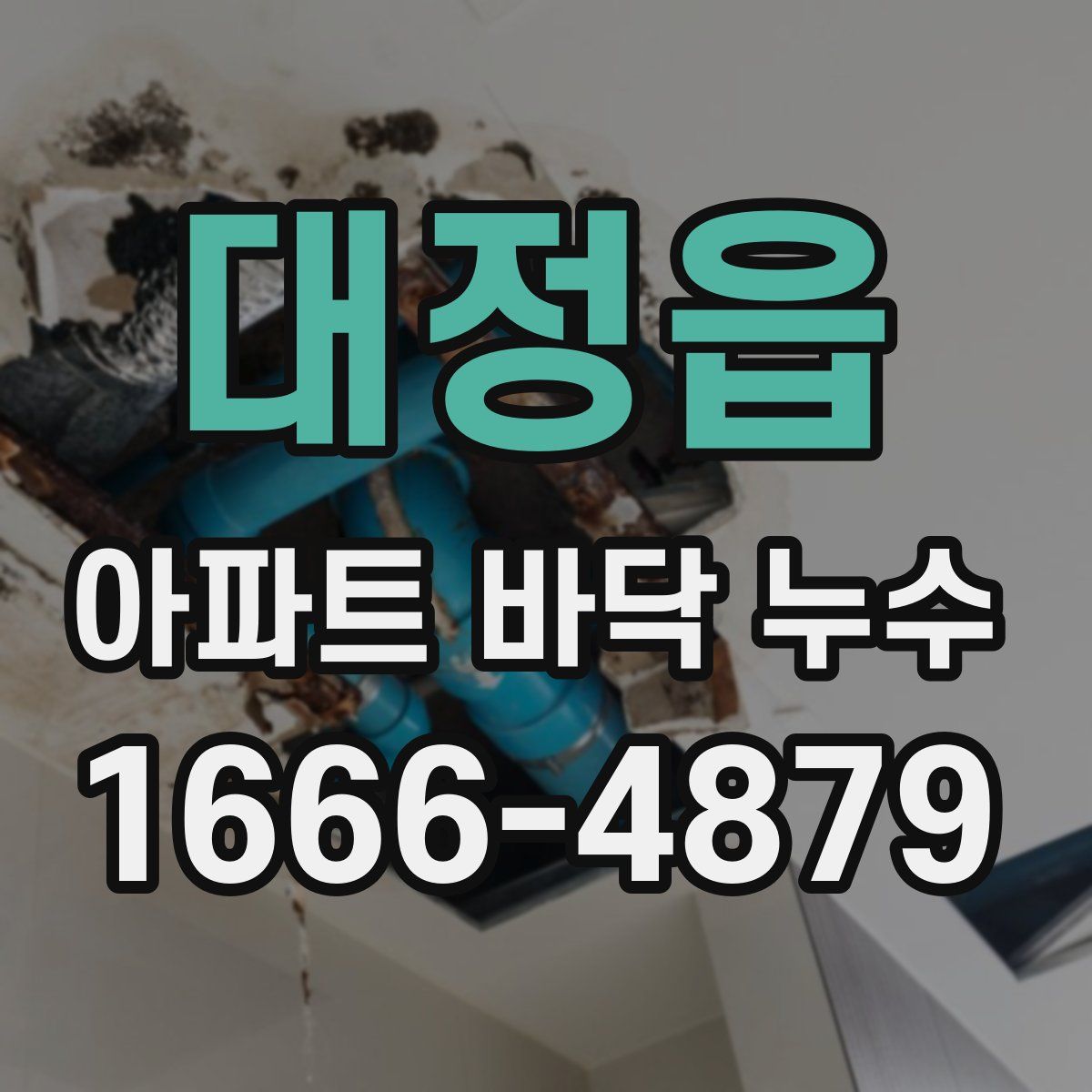 대정읍 아파트 바닥 누수