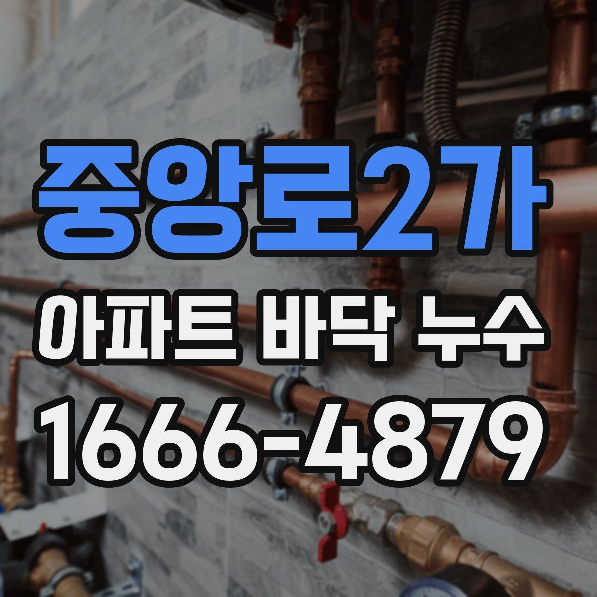 중앙로2가 아파트 바닥 누수