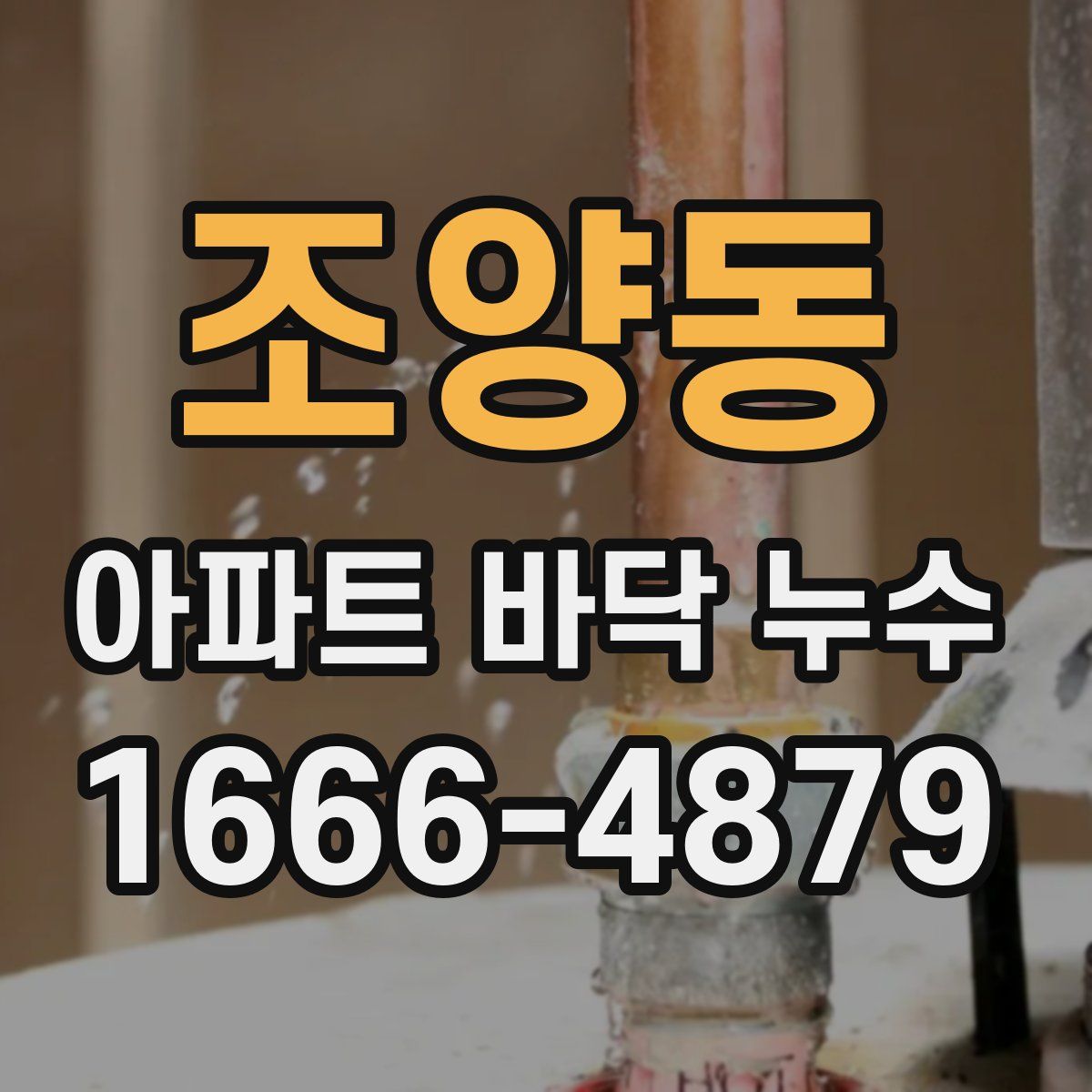조양동 아파트 바닥 누수
