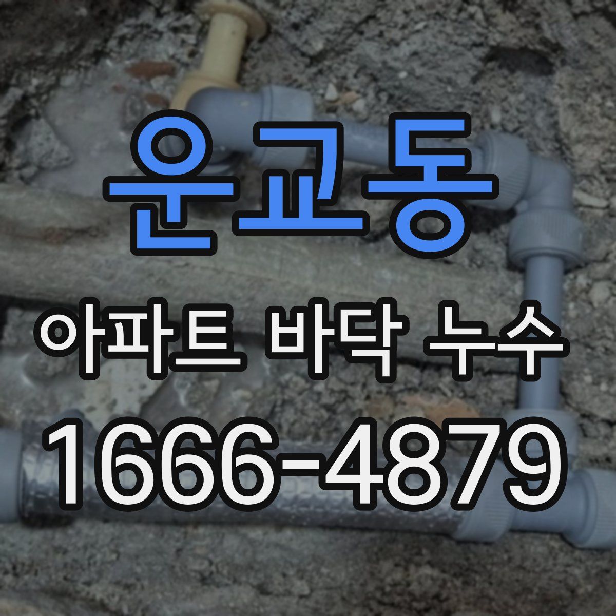 운교동 아파트 바닥 누수