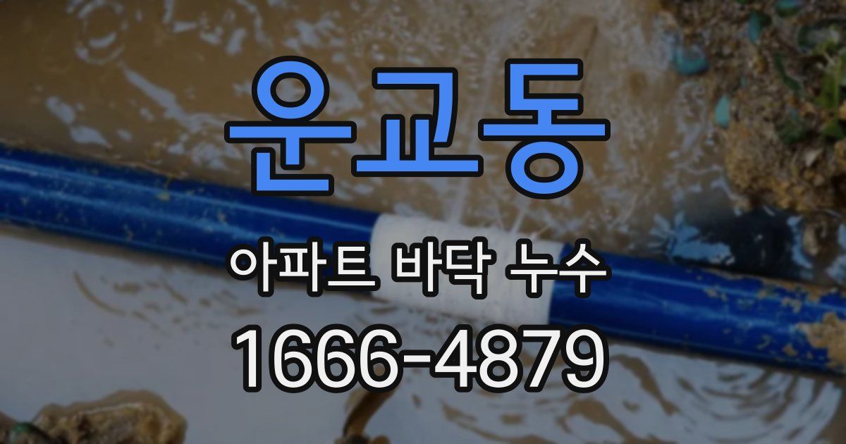 운교동 아파트 바닥 누수