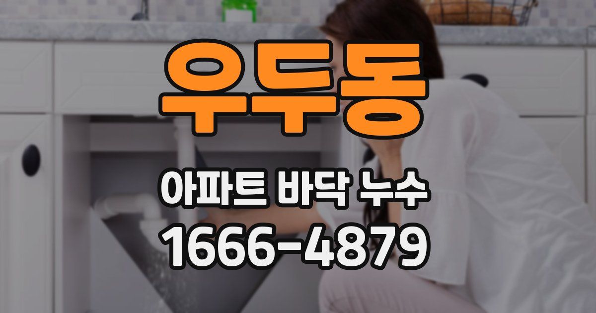 우두동 아파트 바닥 누수
