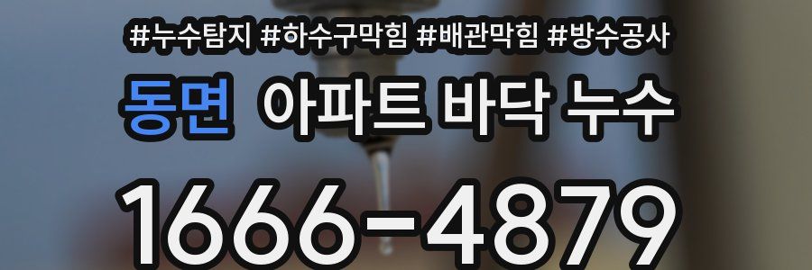 동면 아파트 바닥 누수