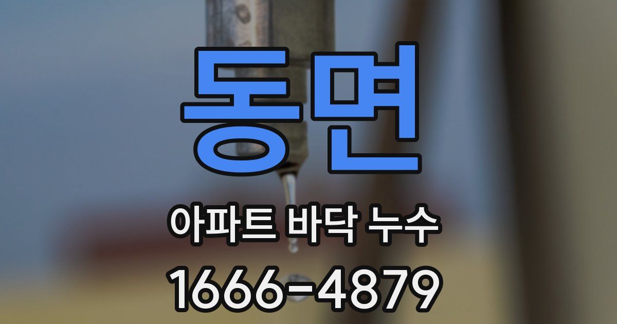 동면 아파트 바닥 누수