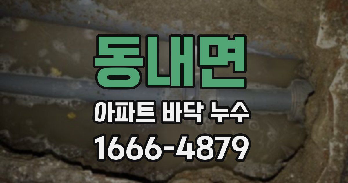 동내면 아파트 바닥 누수