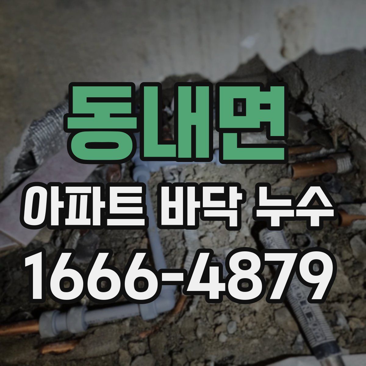 동내면 아파트 바닥 누수