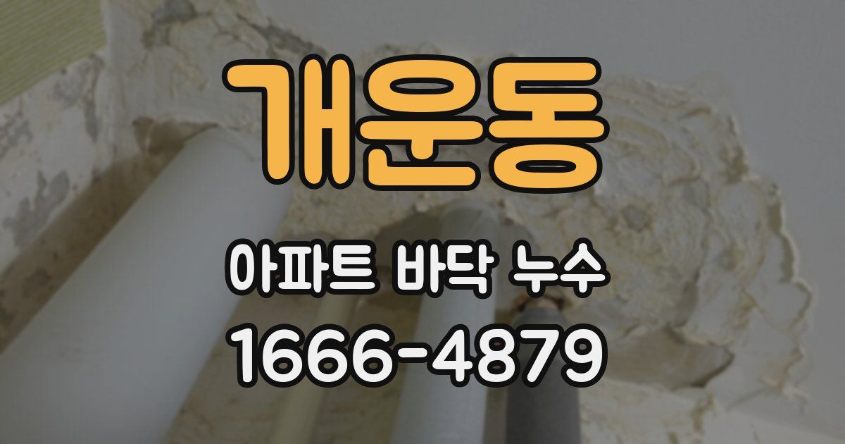 개운동 아파트 바닥 누수