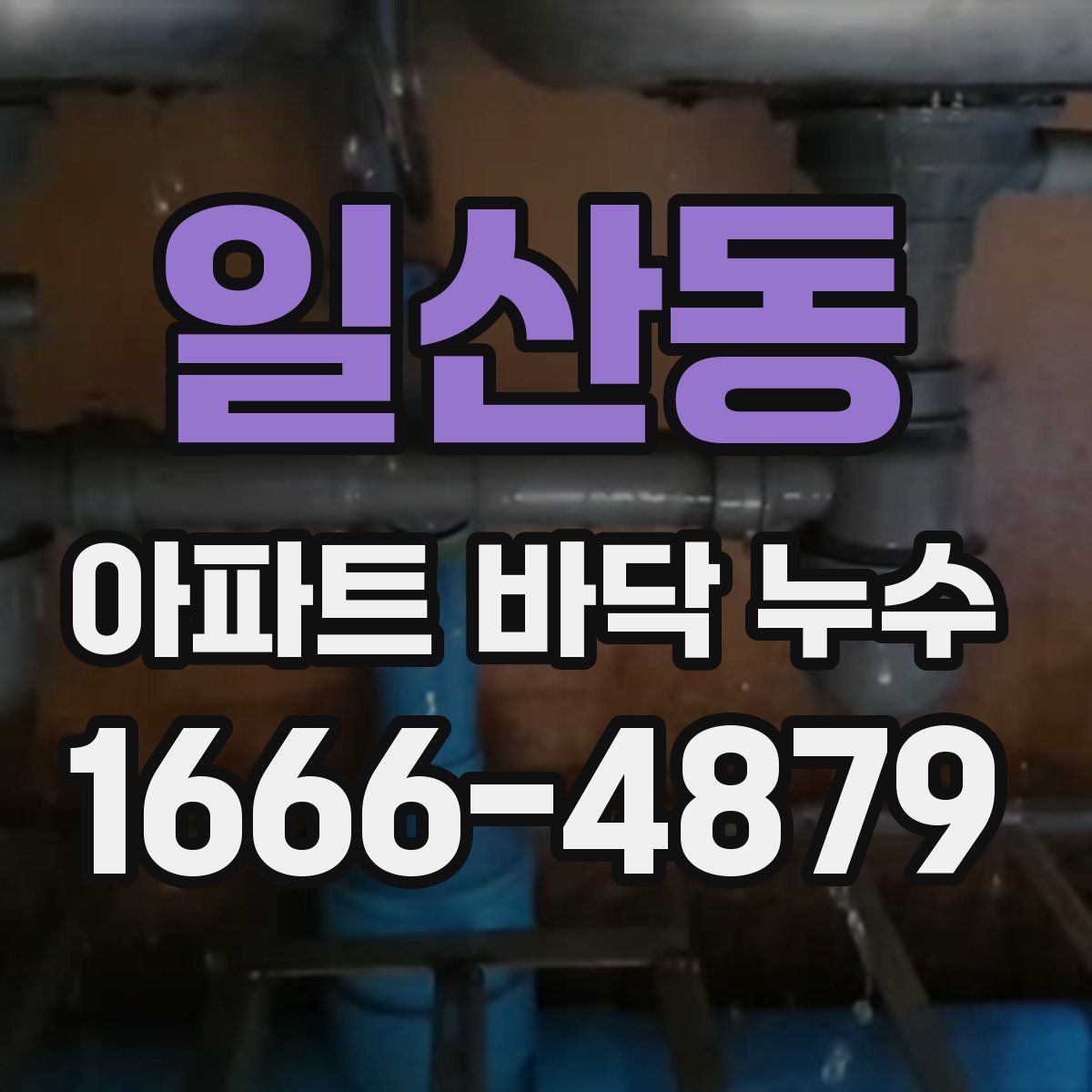 일산동 아파트 바닥 누수