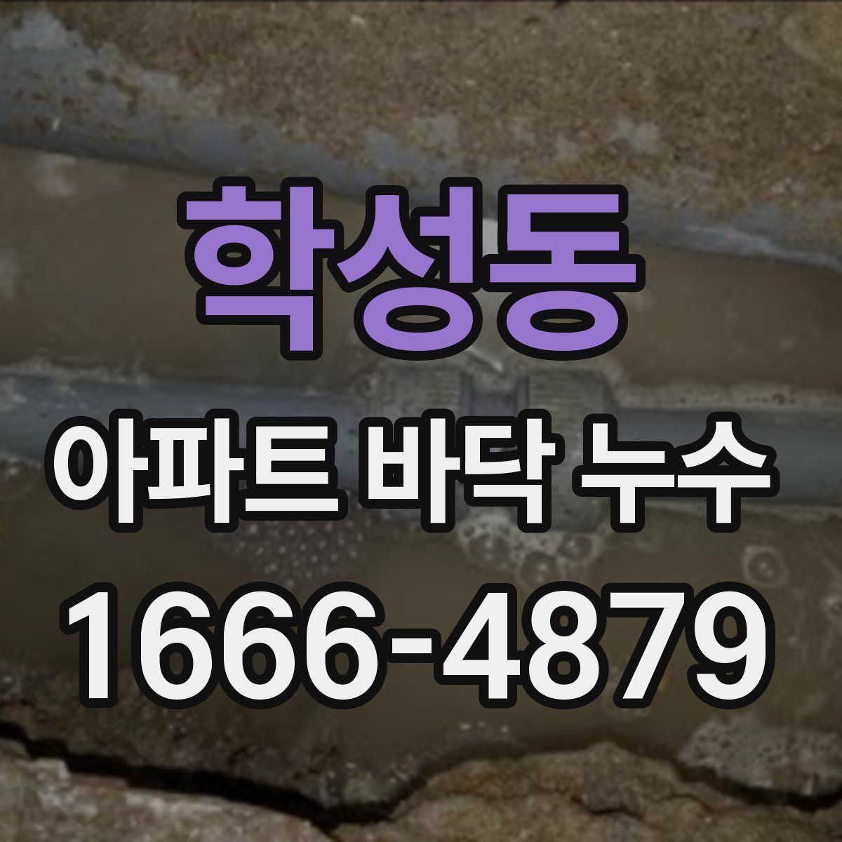 학성동 아파트 바닥 누수