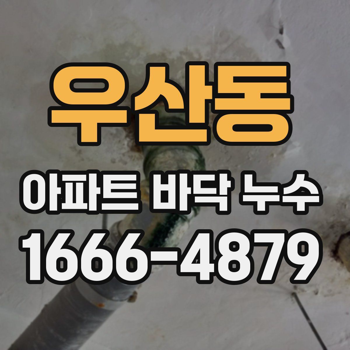 우산동 아파트 바닥 누수
