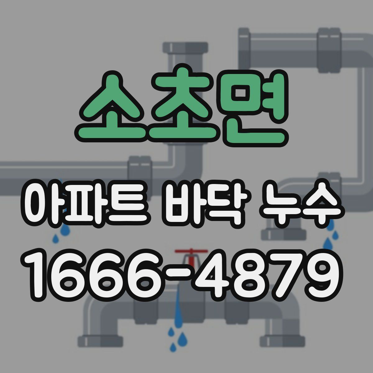 소초면 아파트 바닥 누수