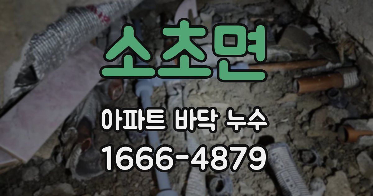 소초면 아파트 바닥 누수
