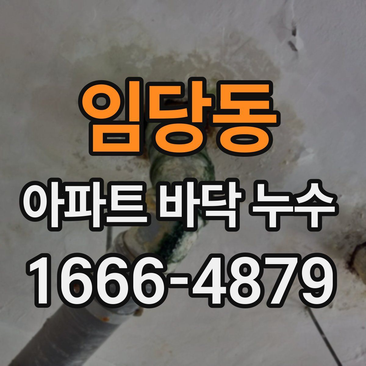 임당동 아파트 바닥 누수