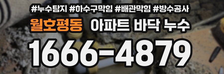 월호평동 아파트 바닥 누수
