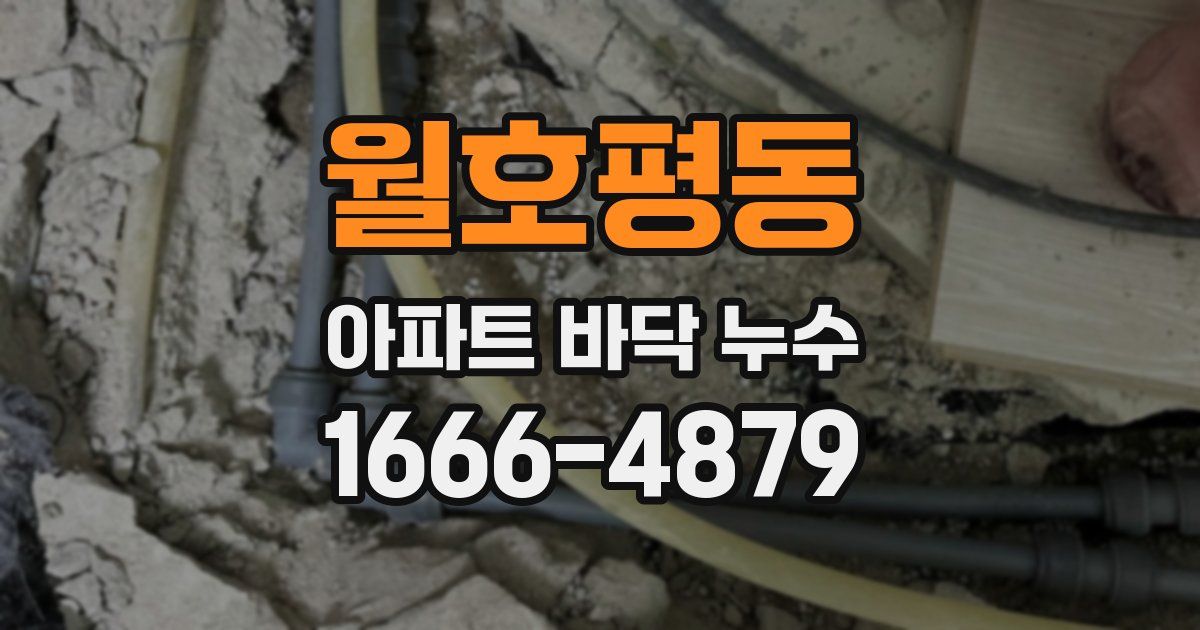 월호평동 아파트 바닥 누수