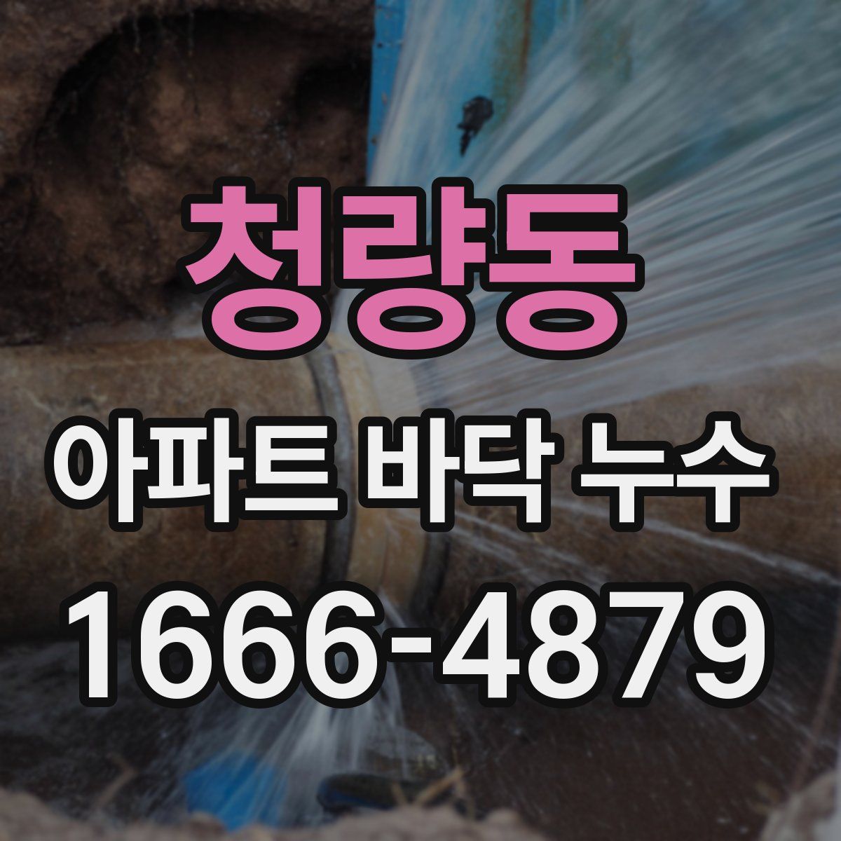 청량동 아파트 바닥 누수