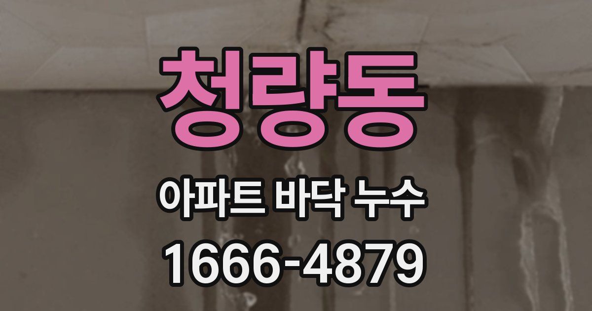 청량동 아파트 바닥 누수