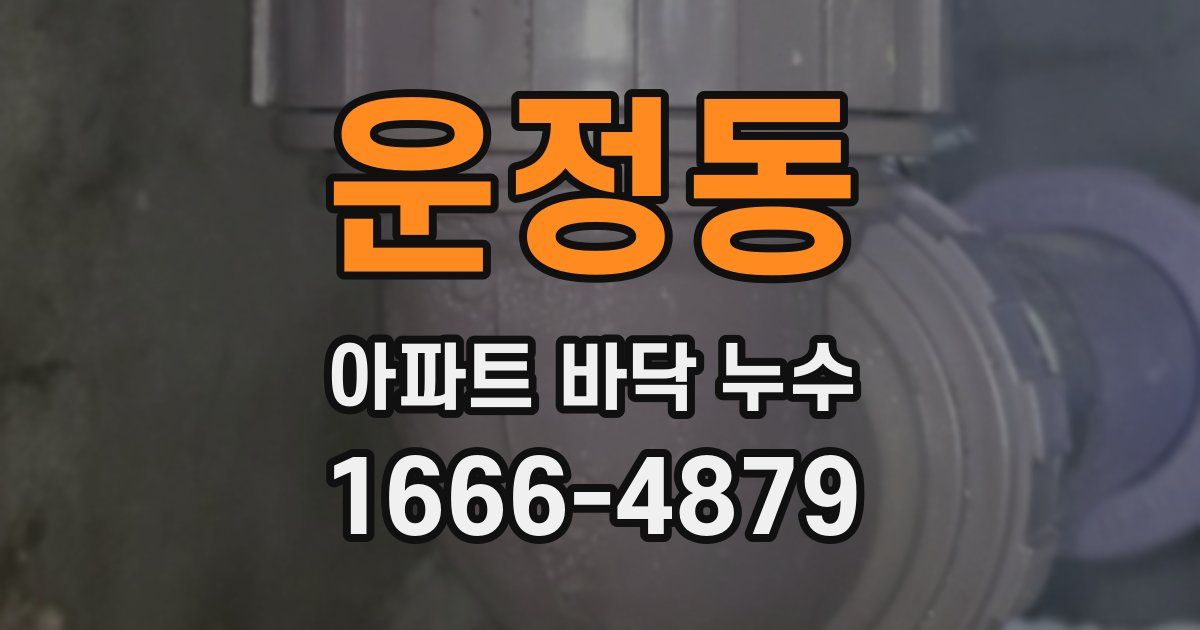 운정동 아파트 바닥 누수