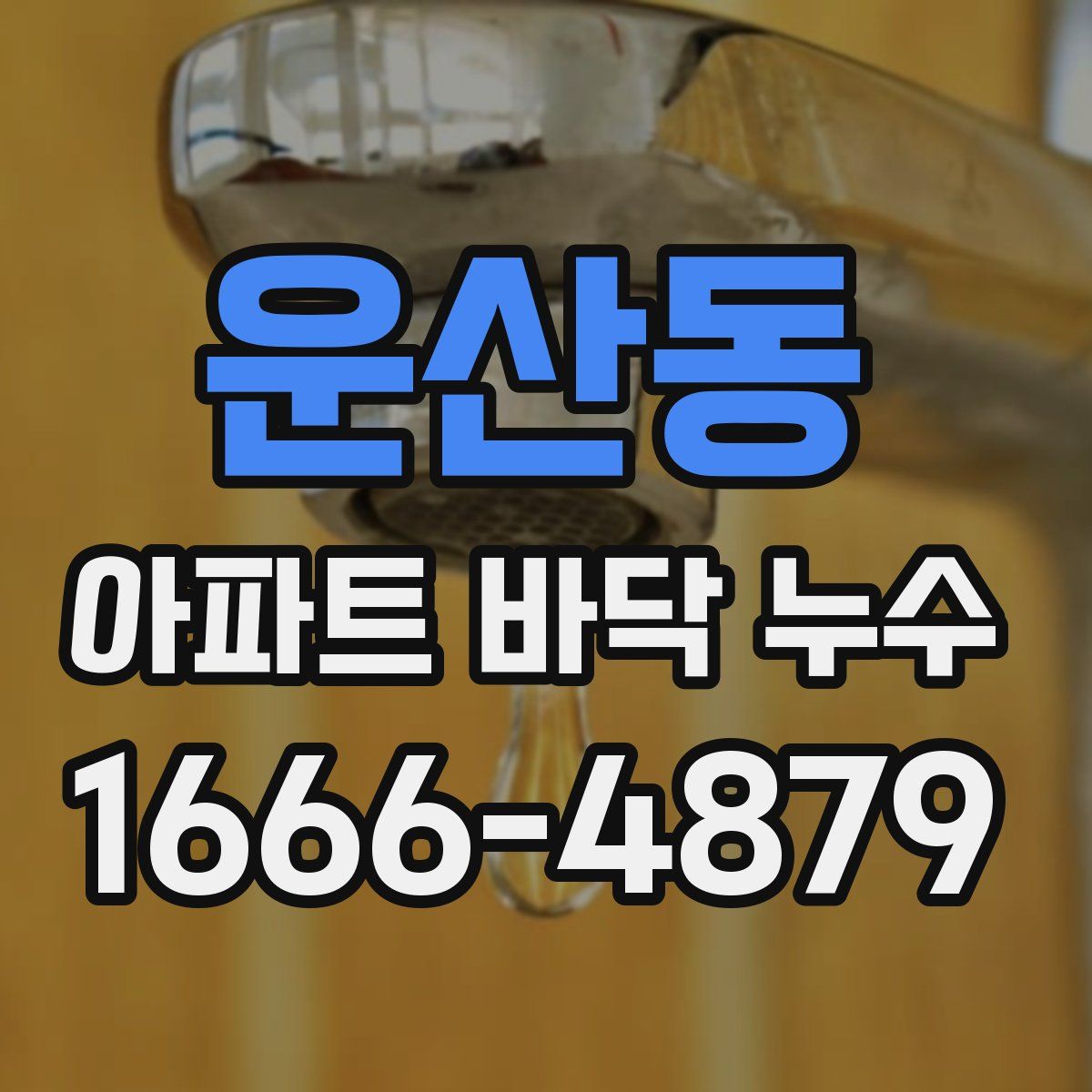운산동 아파트 바닥 누수