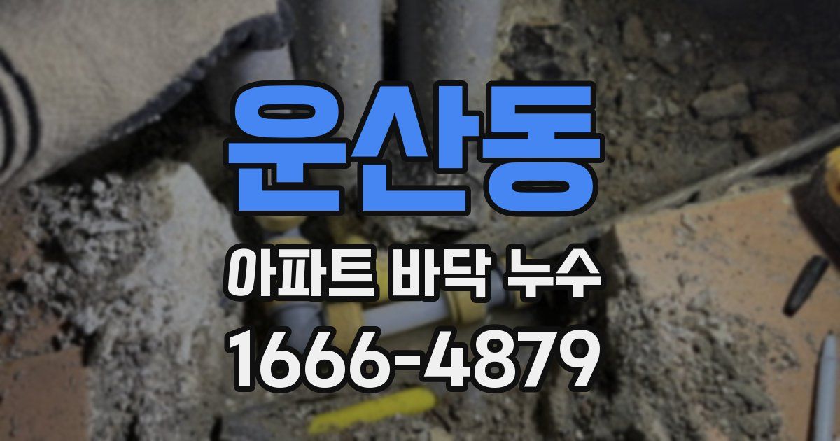 운산동 아파트 바닥 누수