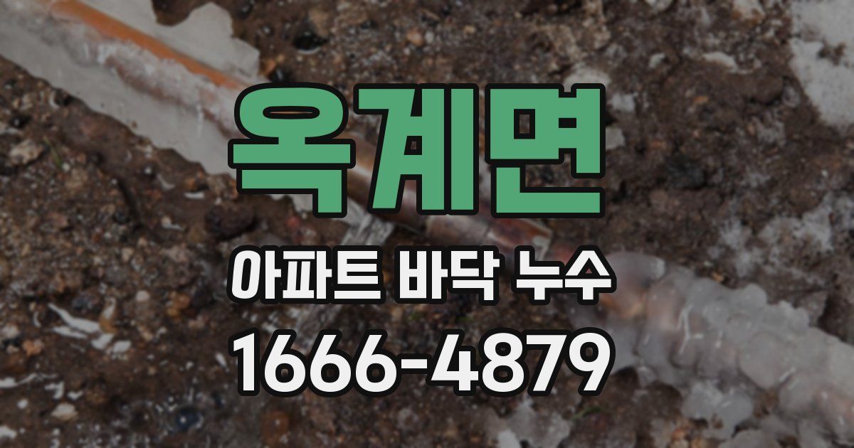 옥계면 아파트 바닥 누수
