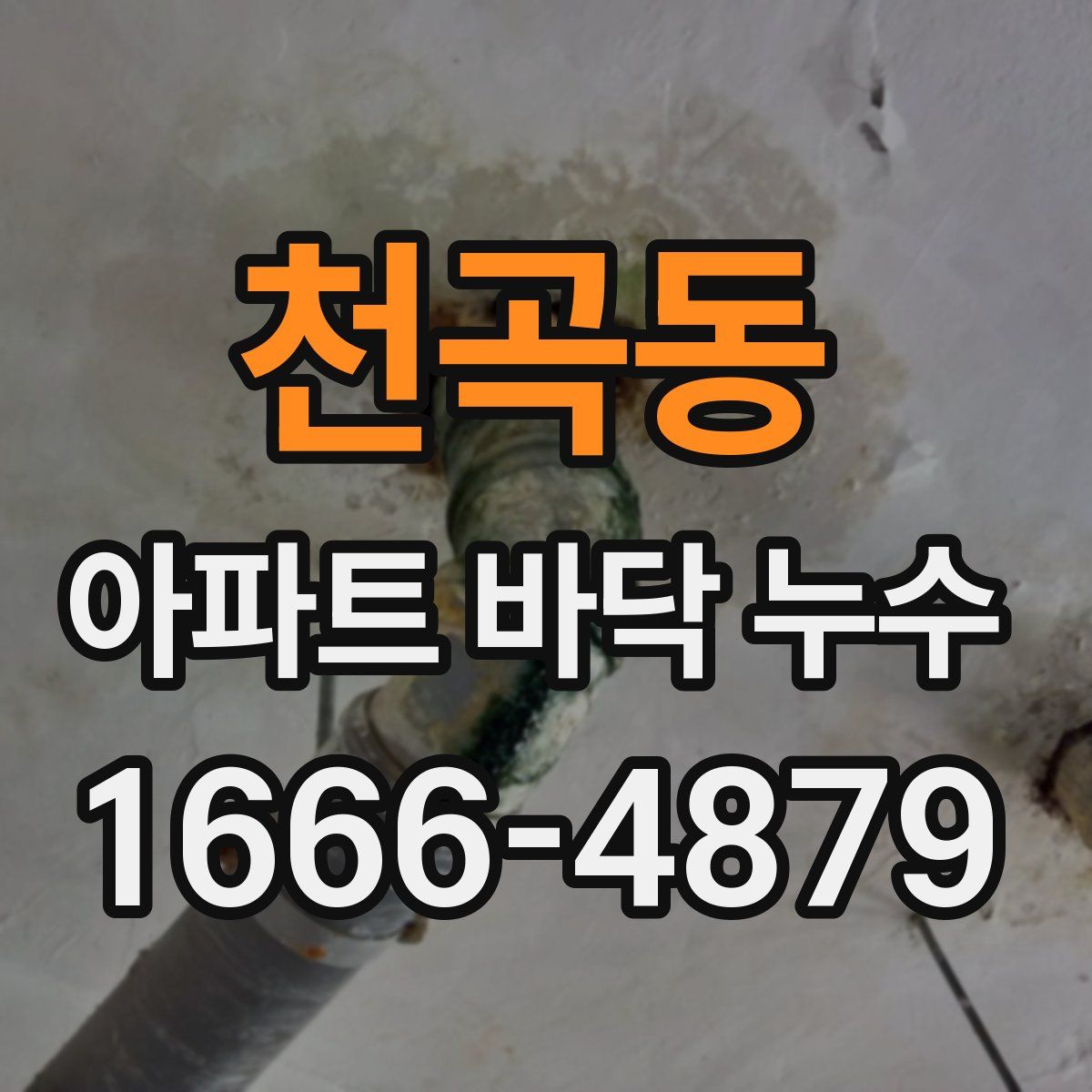 천곡동 아파트 바닥 누수