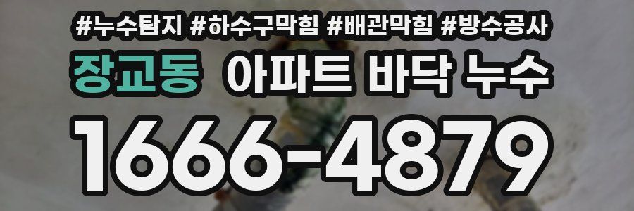 장교동 아파트 바닥 누수