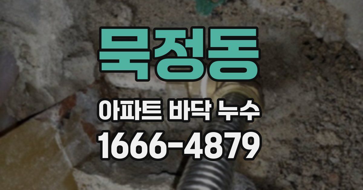 묵정동 아파트 바닥 누수
