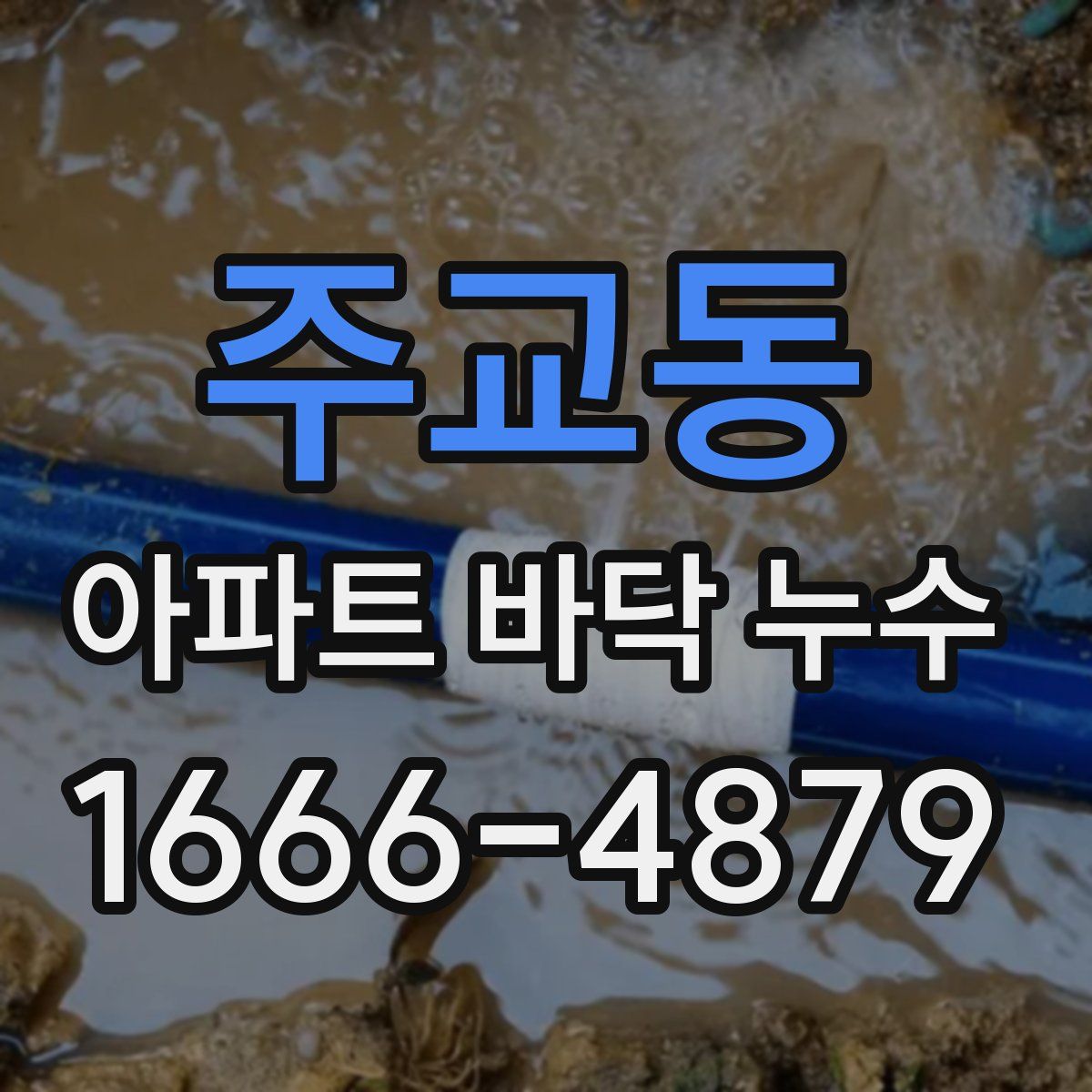 주교동 아파트 바닥 누수
