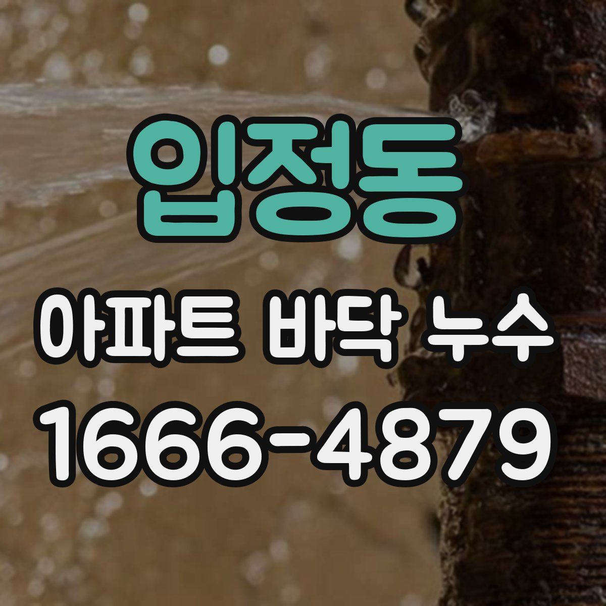 입정동 아파트 바닥 누수