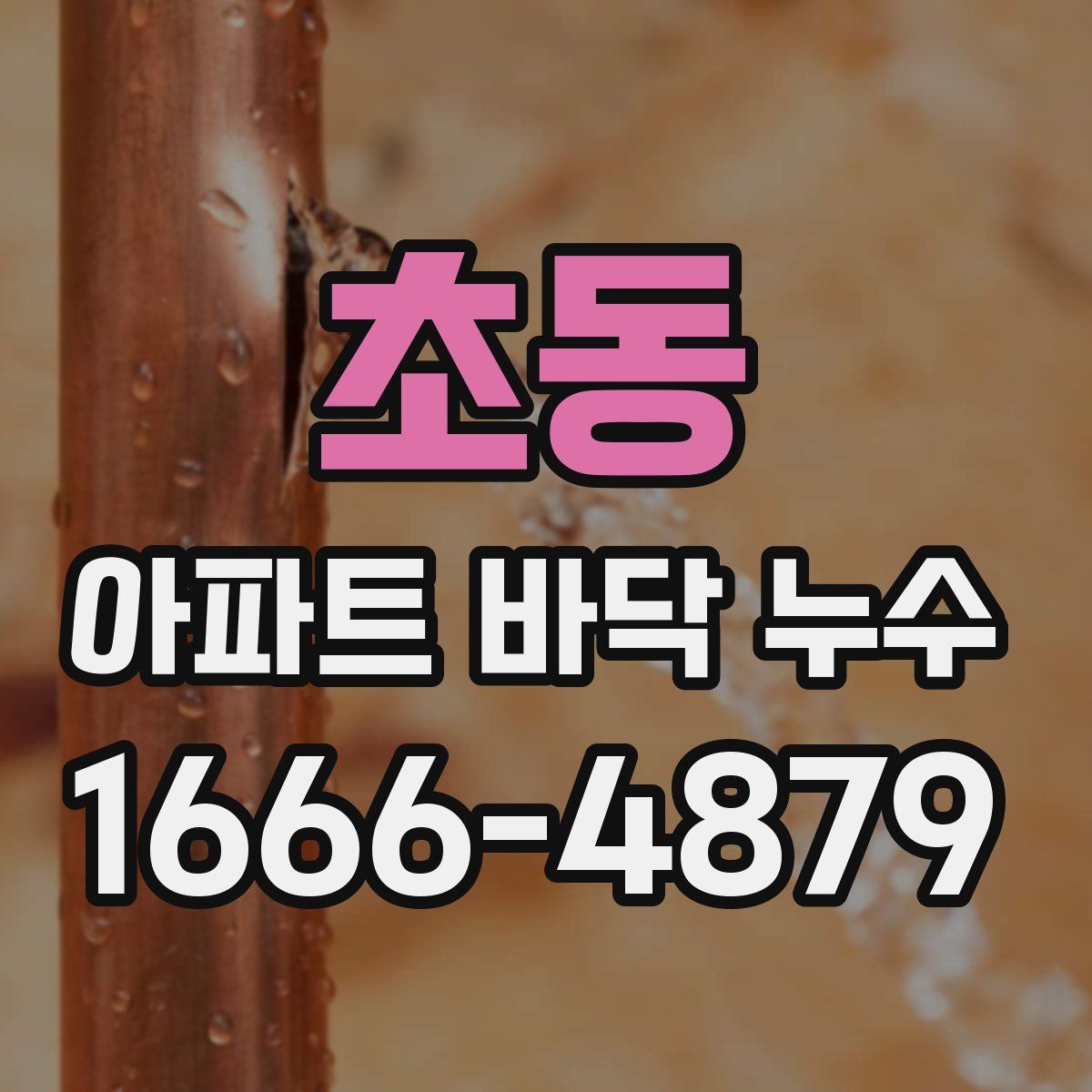 초동 아파트 바닥 누수