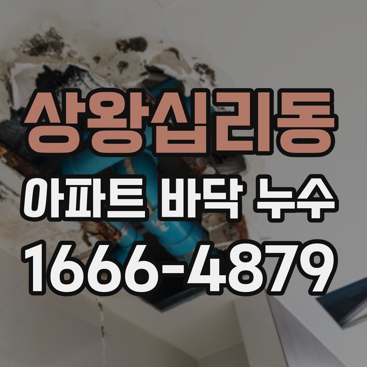 상왕십리동 아파트 바닥 누수