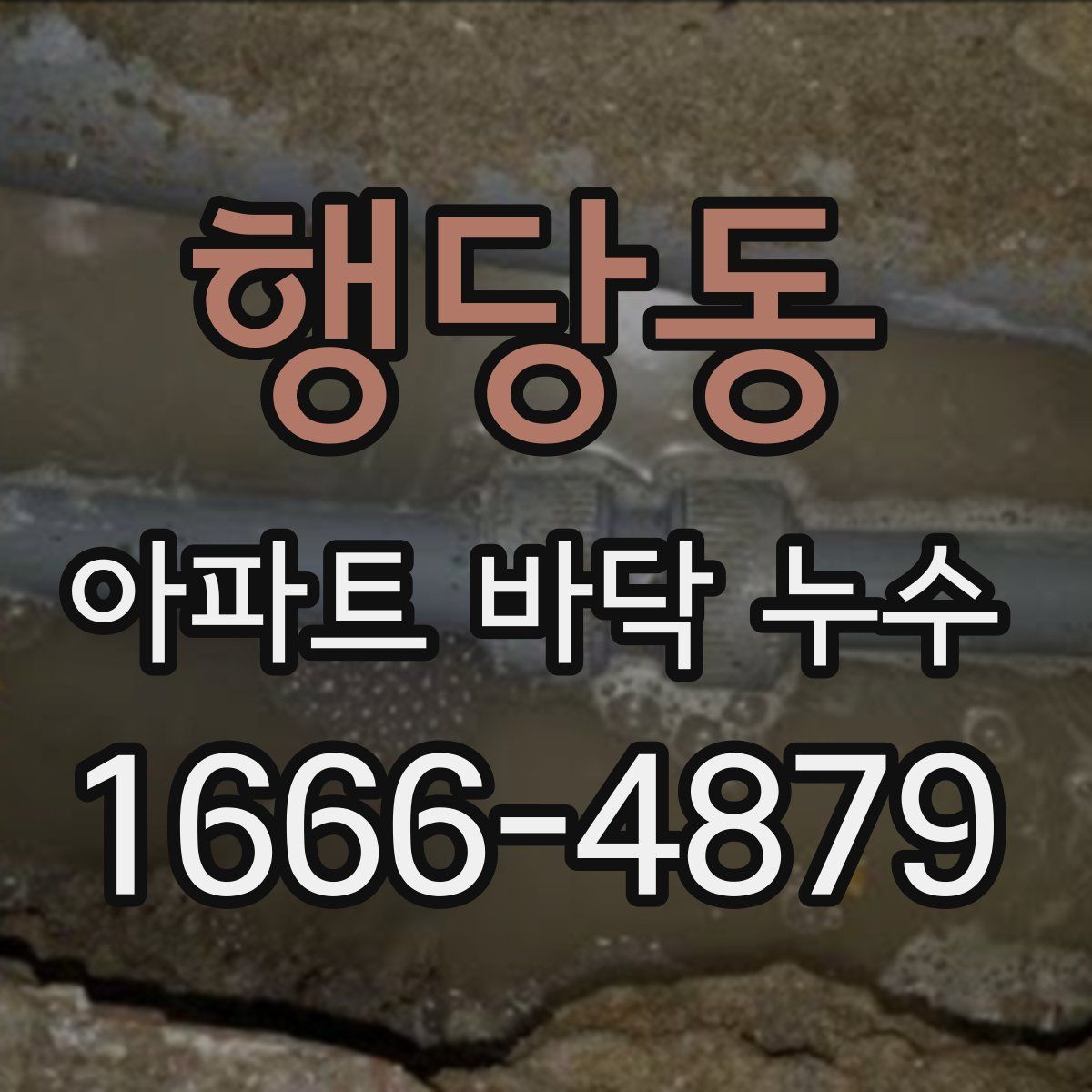 행당동 아파트 바닥 누수
