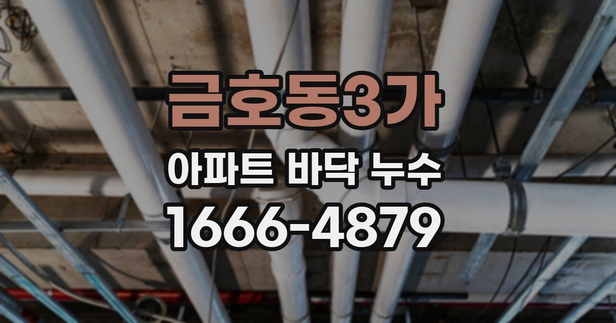 금호동3가 아파트 바닥 누수