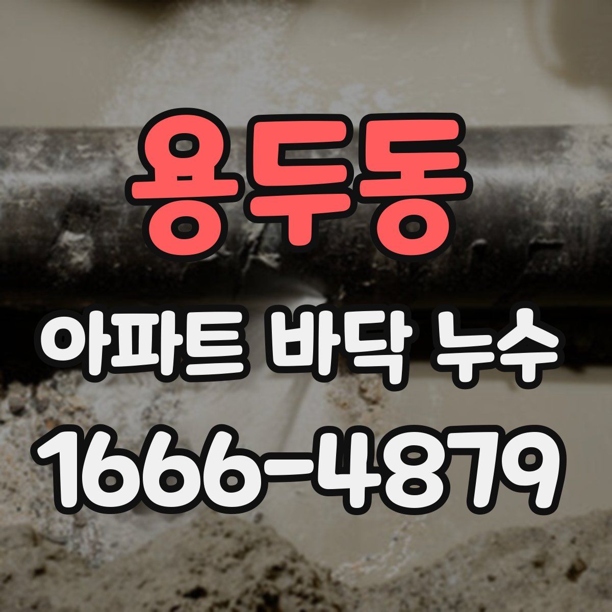 용두동 아파트 바닥 누수