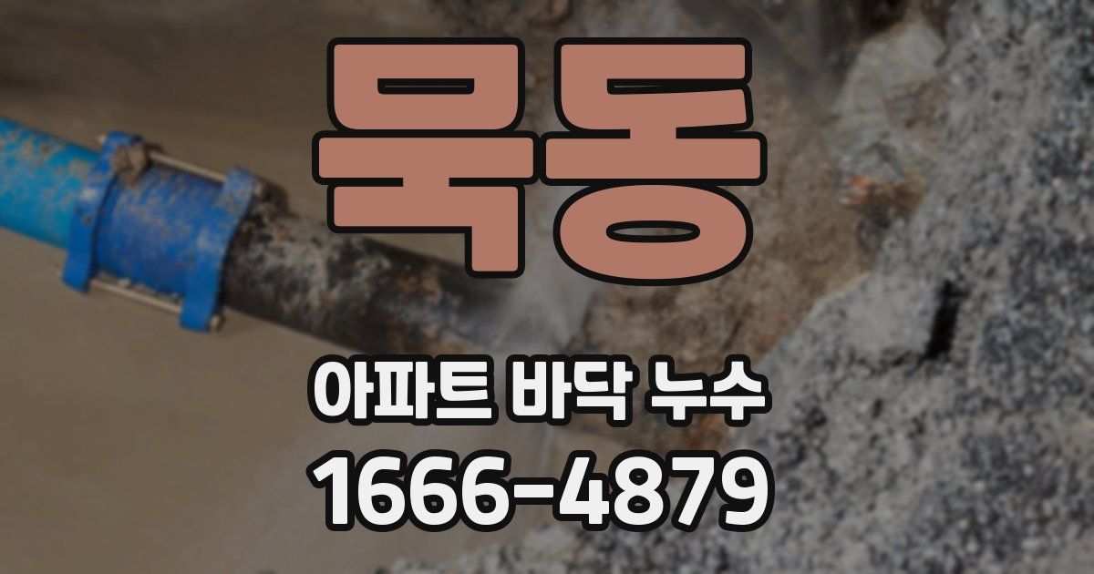 묵동 아파트 바닥 누수