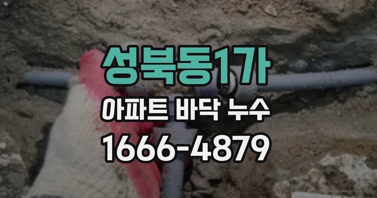 성북동1가 아파트 바닥 누수